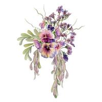 Hand drawn watercolor illustration botanical flowers leaves. Mauve pansy viola, bergenia heliotrope lungwort, locust indigo, ash maple keys, tendrils. Bouquet isolated on white. Design wedding, cards vector