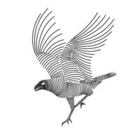 Simple line art illustration of caracara 3 vector