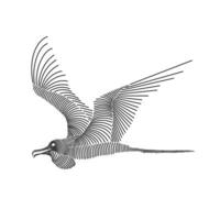 Simple line art illustration of a frigatebird 2 vector