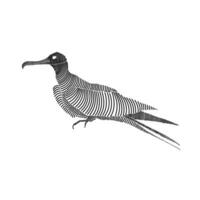 Simple line art illustration of a frigatebird 1 vector