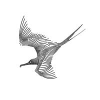 Simple line art illustration of a frigatebird 3 vector