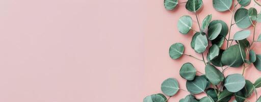 Green Leafed Plant on Pink Background photo