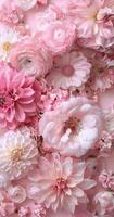 Pink Flowers Floating in the Air photo