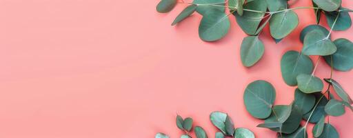 Green Leafed Plant on Pink Background photo