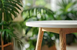 Table With Plant in Background photo