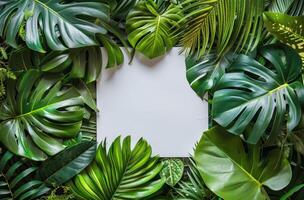 Cluster of Green Leaves on White Background photo