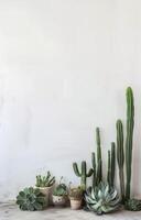Group of Potted Plants on Wooden Table photo