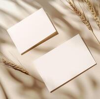 Close Up of Paper and Wheat photo