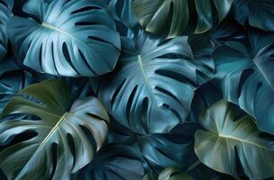 Close Up of Green Leaves photo