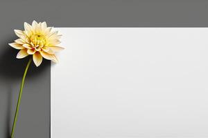 Mockup Cute Flower on White Background A Charming Display of Floral Elegance and Simplicity photo