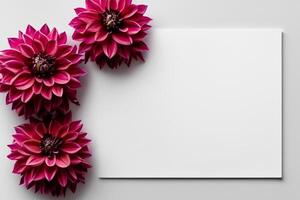 Mockup Cute Flower on White Background A Charming Display of Floral Elegance and Simplicity photo