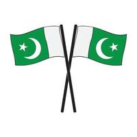 Pakistani flag icon vector