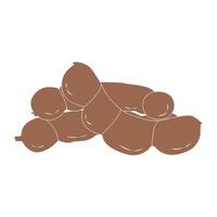 Tamarind icon design vector