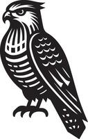 goshawk art Illustration vector