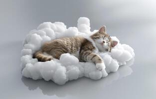 acogedor dormido antecedentes con gato y blanco nubes linda gato dormido en el nube. suave y relajante animal. foto