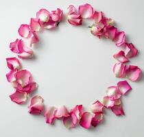 Circle of Pink Flowers on White Surface photo