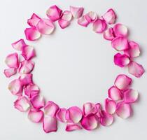 Circle of Pink Flowers on White Surface photo