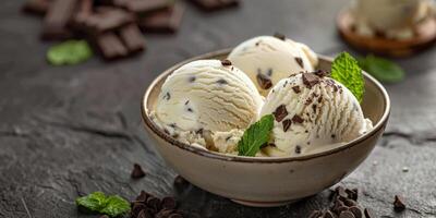 Bowl Filled With Ice Cream and Chocolate Chips photo