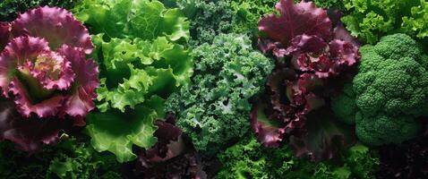 Assorted Fresh Vegetables Close Up photo