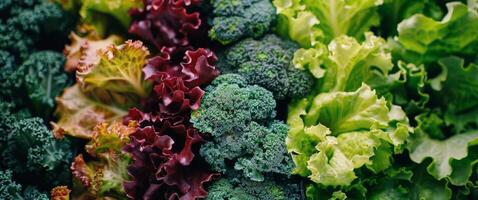 Assorted Fresh Vegetables Close Up photo