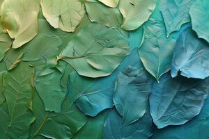 Close Up View of a Green Leaf photo