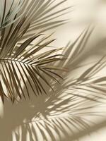 Palm Tree Shadow on Wall photo