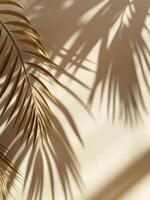 Palm Tree Shadow on Wall photo