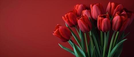 Bouquet of Red Tulips on Red Background photo