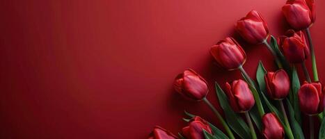 Bouquet of Red Tulips on Red Background photo