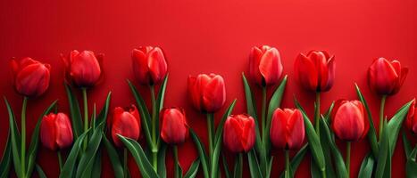 Bouquet of Red Tulips on Red Background photo