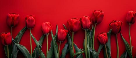 Bouquet of Red Tulips on Red Background photo