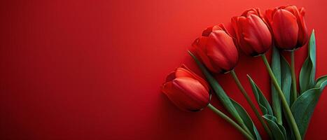 Bouquet of Red Tulips on Red Background photo