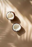 Two Coconuts on Table photo