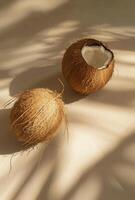 Two Coconuts on Table photo