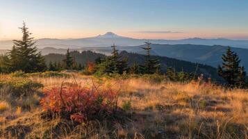 Majestic Mountain Range and Trees photo