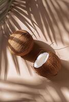 Two Coconuts on Table photo