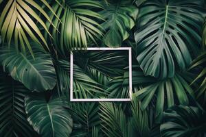Square Picture Frame Surrounded by Tropical Leaves photo
