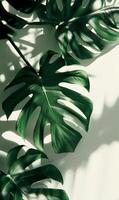 Group of Green Leaves on White Surface photo