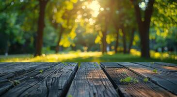 Sunlight Filtering Through Trees Onto Wooden Table photo