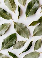 White Table Covered With Green Leaves photo