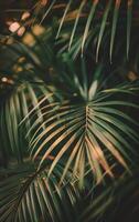 Palm Tree Against Sky Background photo