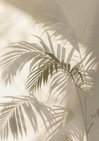 Shadow of Palm Tree Leaves on Wall photo