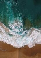 Aerial View of Beach and Ocean photo
