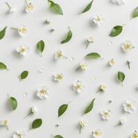 White Flowers and Green Leaves on White Background photo
