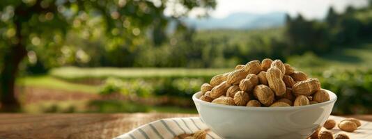 A Bowl of Peanuts on a Table photo