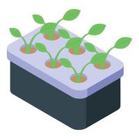Isometric seedling tray with sprouts vector
