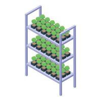 Isometric illustration of a metal shelving unit with rows of potted green plants vector