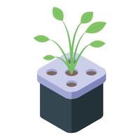 3d graphic of a plant in a hydroponic cube system, isolated on white vector