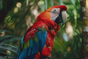 Colorful Parrot Perched on Tree Branch photo