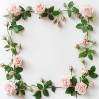 Pink Roses Arranged in Heart Shape photo
